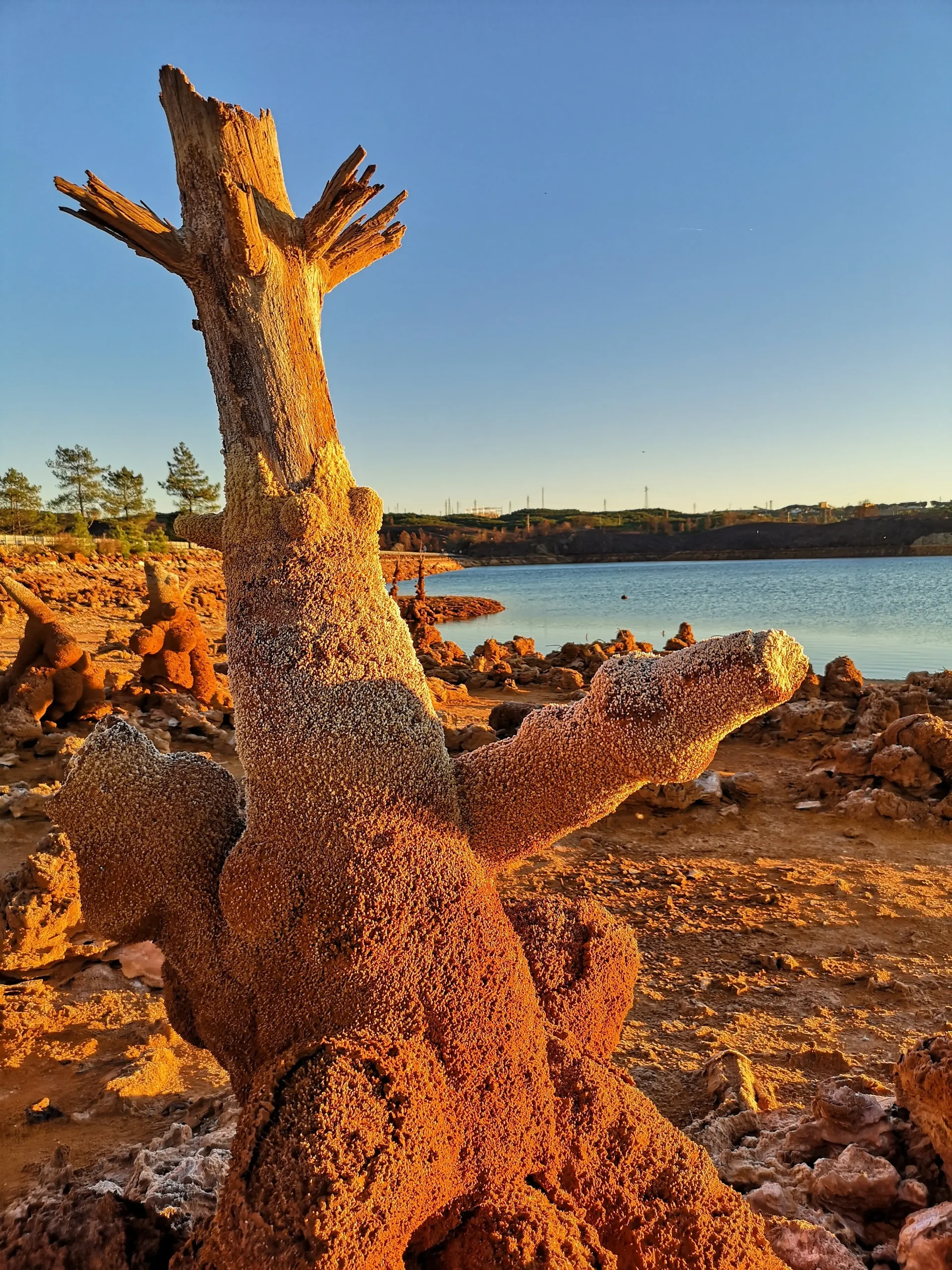Guajira