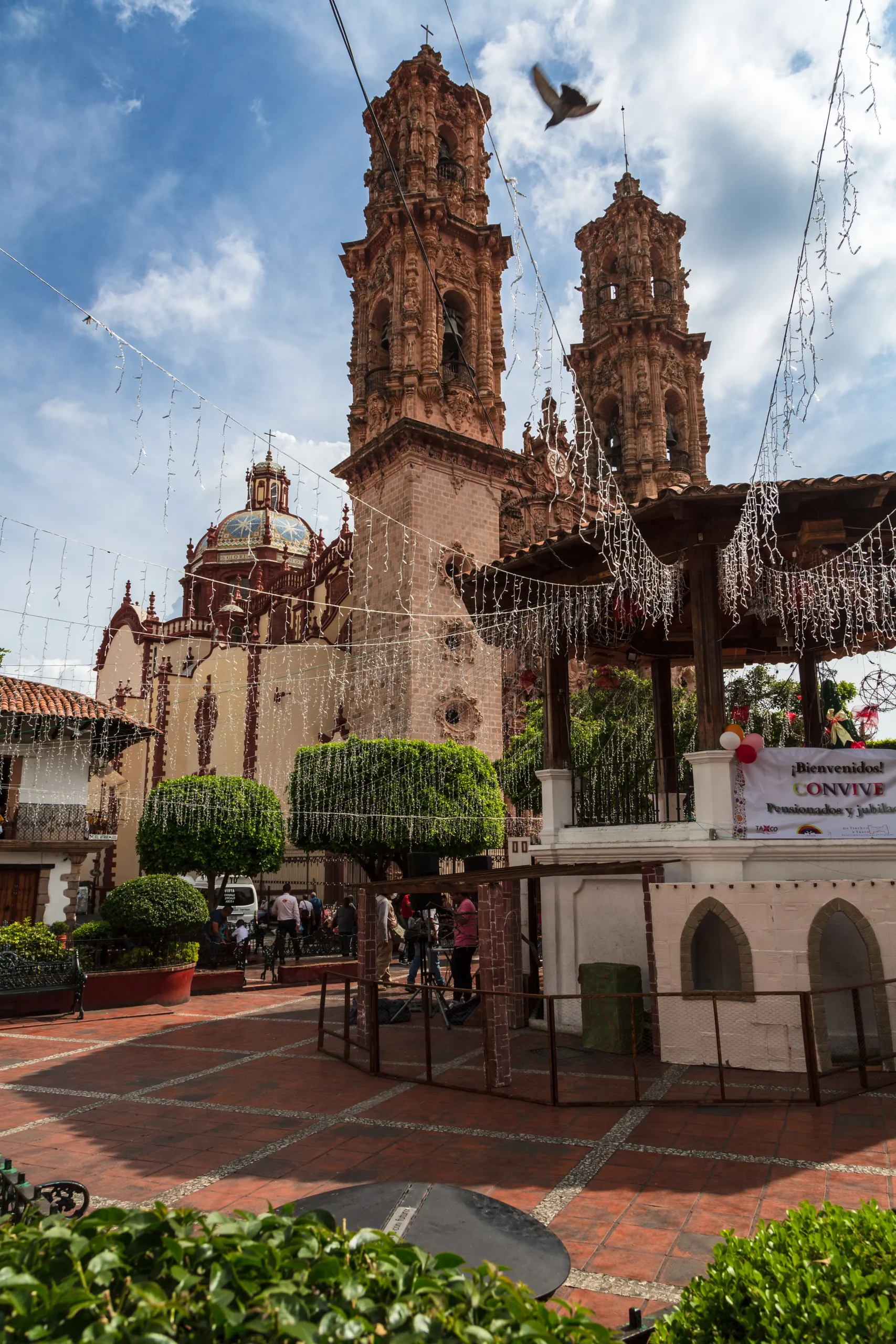 Morelia
